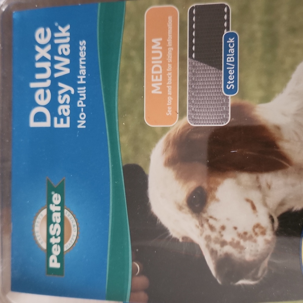 Deluxe easy walk